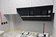 清雅有趣呜咽猫