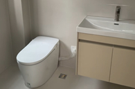 清雅有趣呜咽猫