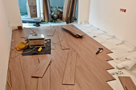 清雅有趣呜咽猫