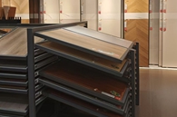 清丽迷人呼噜蛛