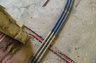 幽默璀璨呼嘘蟾