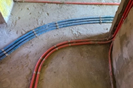 幽默璀璨呼嘘蟾