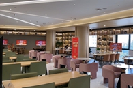 坚强温柔呼咕蜥