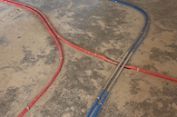 活泼热情呜呜狼