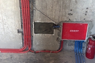 活泼热情呜呜狼