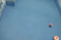 谨慎优雅嗒嗒鹰