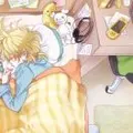 猪