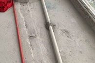 jq869